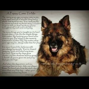 Meet your Posher, Nathan